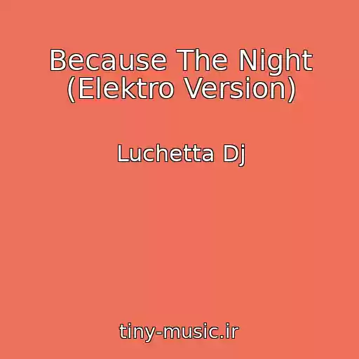 کاور آهنگ Because The Night (Elektro Version) از Luchetta Dj