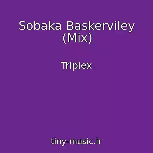 کاور آهنگ Sobaka Baskerviley (Mix) از Triplex