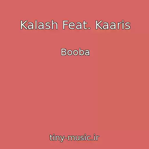 کاور آهنگ Kalash Feat. Kaaris از Booba