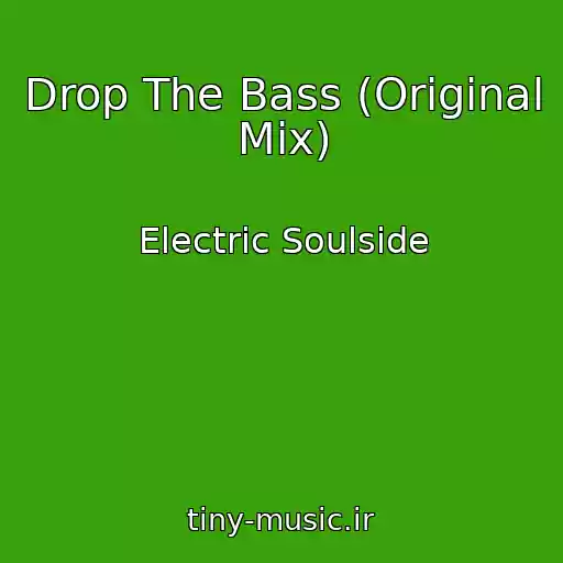 کاور آهنگ Drop The Bass (Original Mix) از Electric Soulside