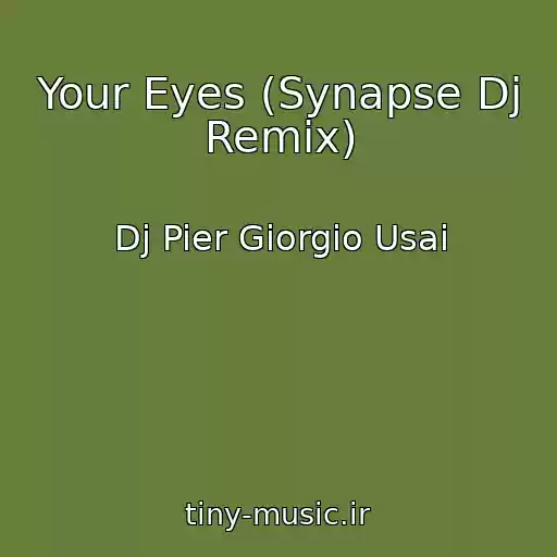 کاور آهنگ Your Eyes (Synapse Dj Remix) از Dj Pier Giorgio Usai