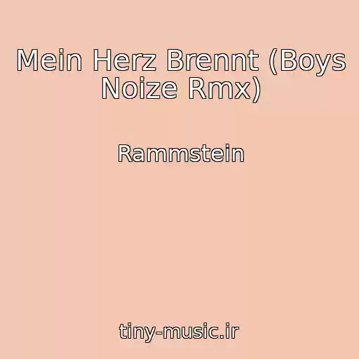 کاور آهنگ Mein Herz Brennt (Boys Noize Rmx) از Rammstein