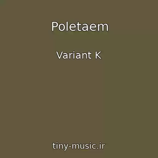 کاور آهنگ Poletaem از Variant K