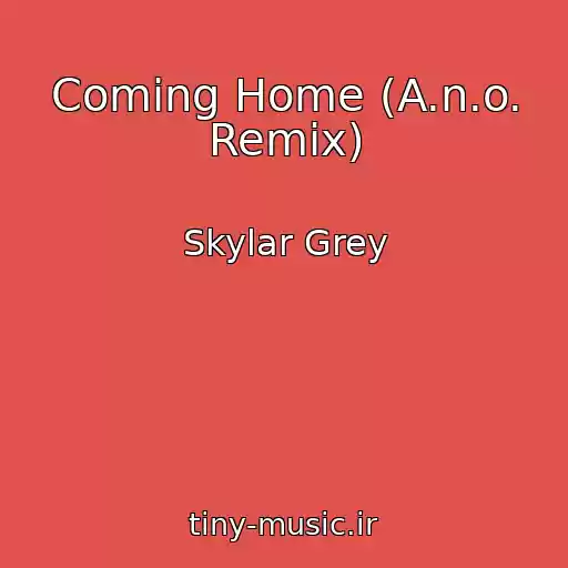 کاور آهنگ Coming Home (A.n.o. Remix) از Skylar Grey