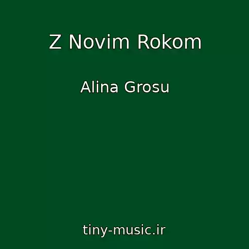 کاور آهنگ Z Novim Rokom از Alina Grosu
