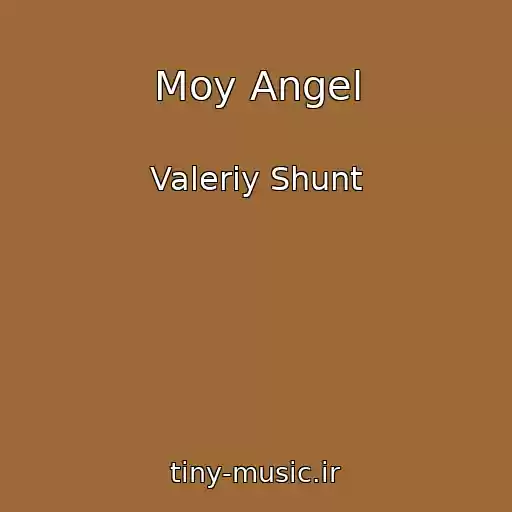 کاور آهنگ Moy Angel از Valeriy Shunt