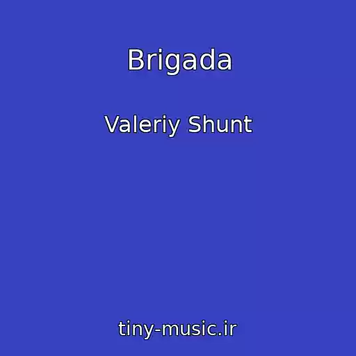 کاور آهنگ Brigada از Valeriy Shunt