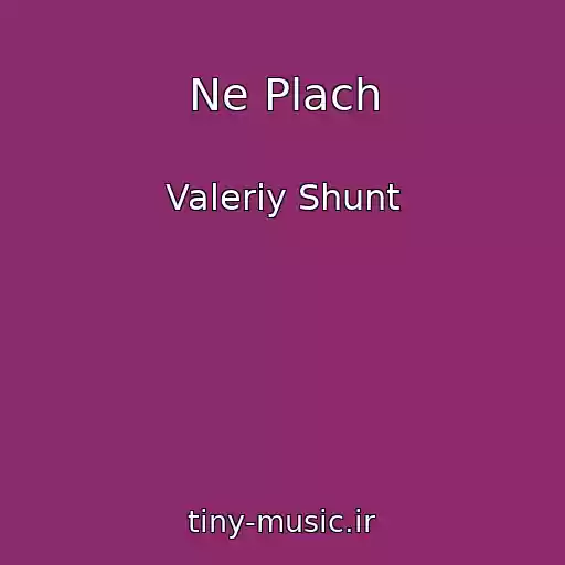 کاور آهنگ Ne Plach از Valeriy Shunt
