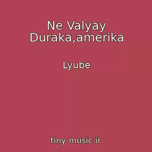 کاور آهنگ Ne Valyay Duraka,amerika از Lyube