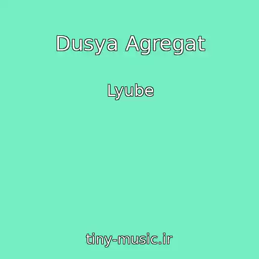 کاور آهنگ Dusya Agregat از Lyube