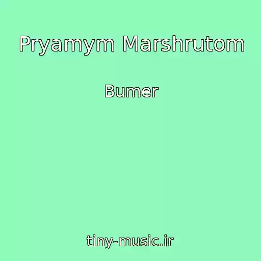 کاور آهنگ Pryamym Marshrutom از Bumer