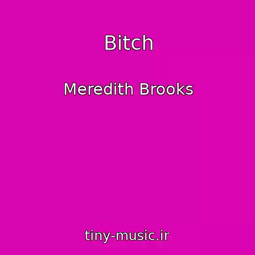 کاور آهنگ Bitch از Meredith Brooks