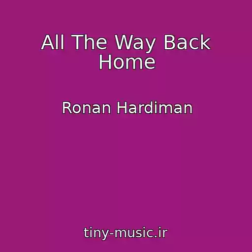 کاور آهنگ All The Way Back Home از Ronan Hardiman
