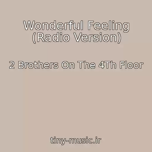 کاور آهنگ Wonderful Feeling (Radio Version) از 2 Brothers On The 4Th Floor
