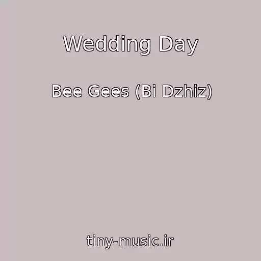 کاور آهنگ Wedding Day از Bee Gees (Bi Dzhiz)