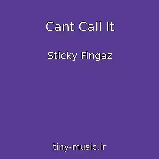کاور آهنگ Cant Call It از Sticky Fingaz