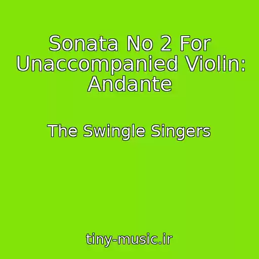 کاور آهنگ Sonata No 2 For Unaccompanied Violin: Andante از The Swingle Singers