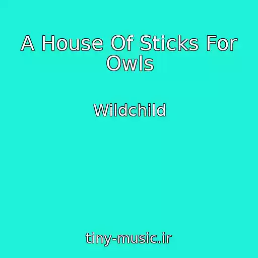 کاور آهنگ A House Of Sticks For Owls از Wildchild
