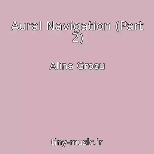 کاور آهنگ Aural Navigation (Part 2) از Alina Grosu