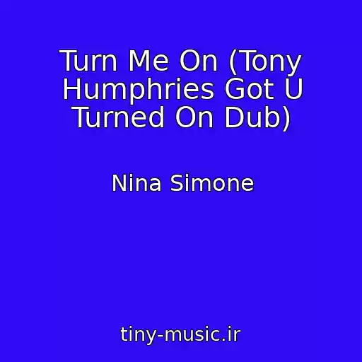 کاور آهنگ Turn Me On (Tony Humphries Got U Turned On Dub) از Nina Simone