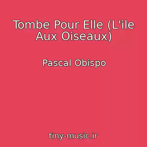 کاور آهنگ Tombe Pour Elle (L'ile Aux Oiseaux) از Pascal Obispo