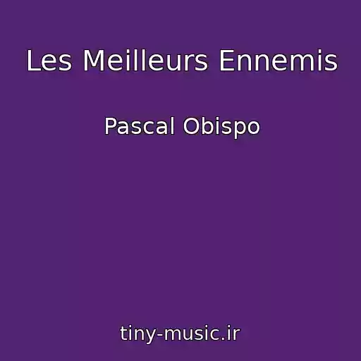 کاور آهنگ Les Meilleurs Ennemis از Pascal Obispo