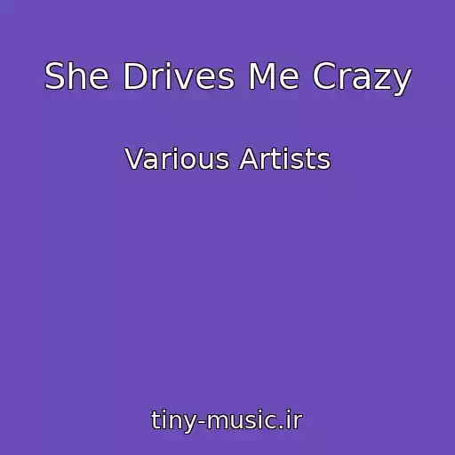 کاور آهنگ She Drives Me Crazy از Various Artists