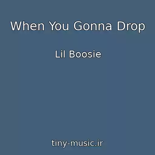 کاور آهنگ When You Gonna Drop از Lil Boosie