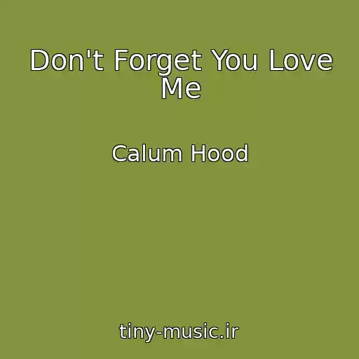 کاور آهنگ Don't Forget You Love Me از Calum Hood