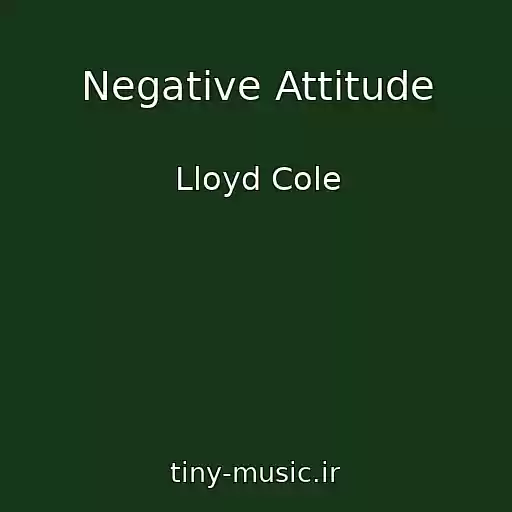 کاور آهنگ Negative Attitude از Lloyd Cole