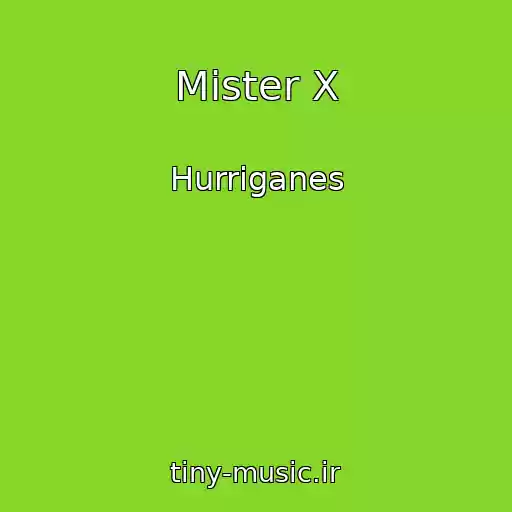 کاور آهنگ Mister X از Hurriganes