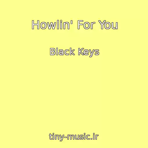 کاور آهنگ Howlin' For You از Black Keys