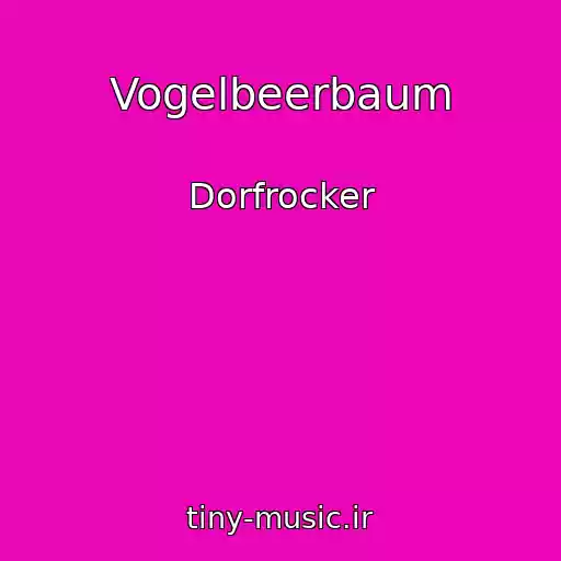 کاور آهنگ Vogelbeerbaum از Dorfrocker