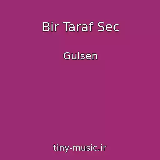 کاور آهنگ Bir Taraf Sec از Gulsen
