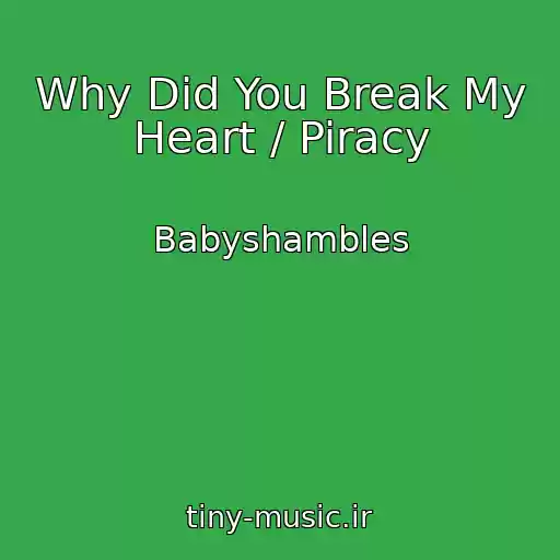 کاور آهنگ Why Did You Break My Heart / Piracy از Babyshambles