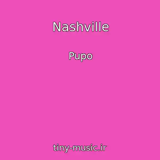 کاور آهنگ Nashville از Pupo