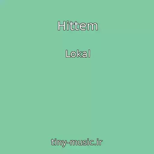 کاور آهنگ Hittem از Lokal