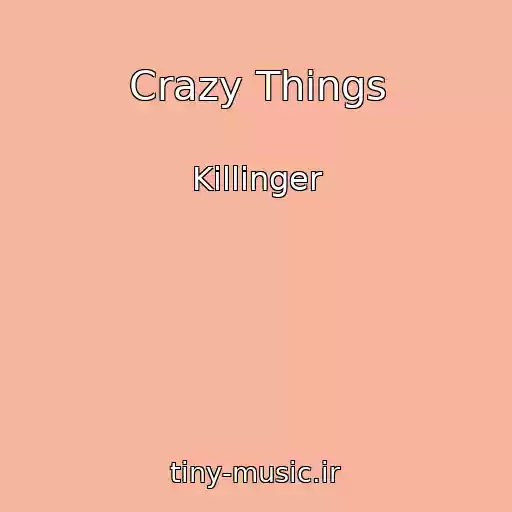 کاور آهنگ Crazy Things از Killinger