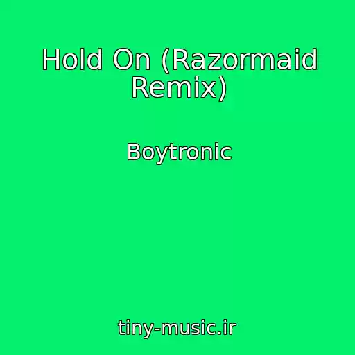 کاور آهنگ Hold On (Razormaid Remix) از Boytronic
