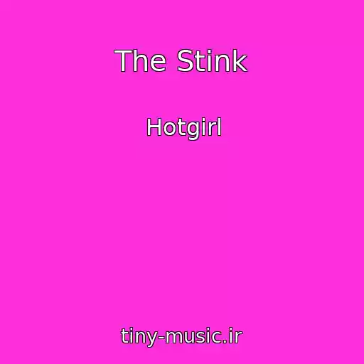کاور آهنگ The Stink از Hotgirl