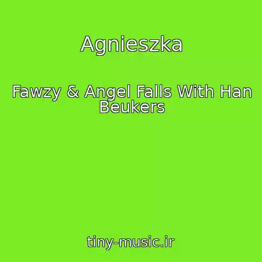 کاور آهنگ Agnieszka از Fawzy & Angel Falls With Han Beukers