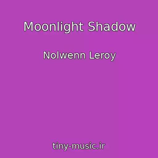 کاور آهنگ Moonlight Shadow از Nolwenn Leroy