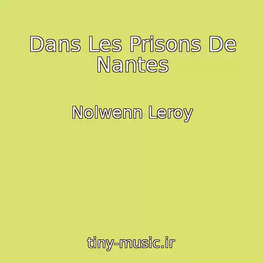 کاور آهنگ Dans Les Prisons De Nantes از Nolwenn Leroy