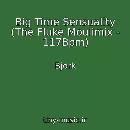 کاور آهنگ Big Time Sensuality (The Fluke Moulimix - 117Bpm) از Bjork