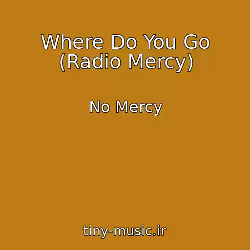 کاور آهنگ Where Do You Go (Radio Mercy) از No Mercy
