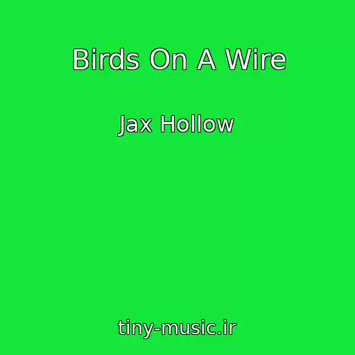 کاور آهنگ Birds On A Wire از Jax Hollow