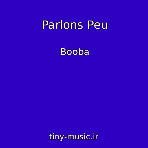 کاور آهنگ Parlons Peu از Booba