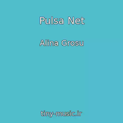 کاور آهنگ Pulsa Net از Alina Grosu