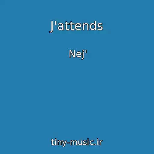کاور آهنگ J'attends از Nej'