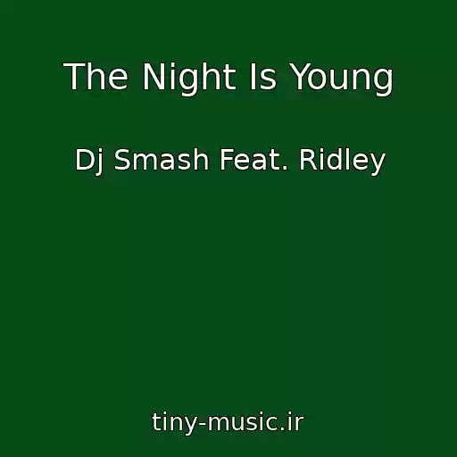 کاور آهنگ The Night Is Young از Dj Smash Feat. Ridley